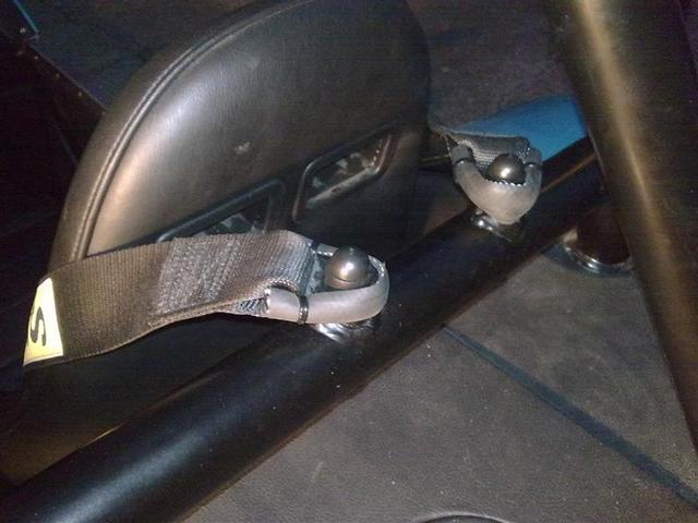 Rescued attachment 31012009173 (Medium).jpg